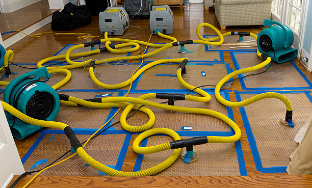 Professional Water Damage Restoration technician working in Orrs Island, ME